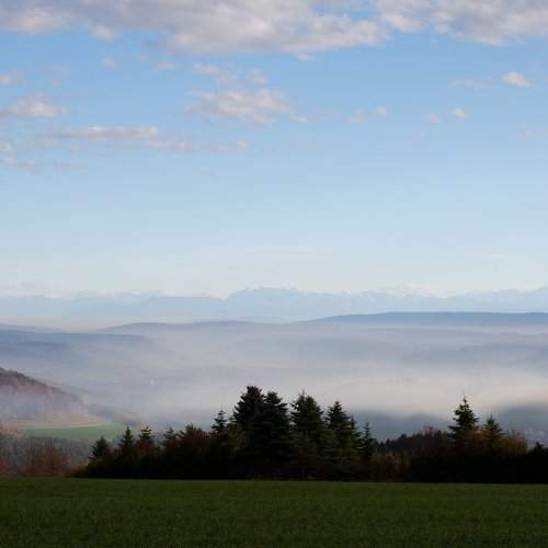 evening mood in southern black forest