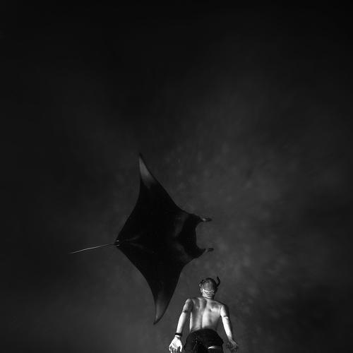 Into the deep