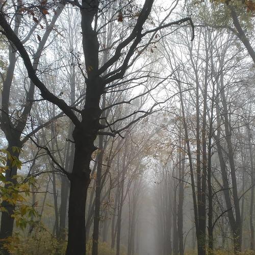 Безмолвие