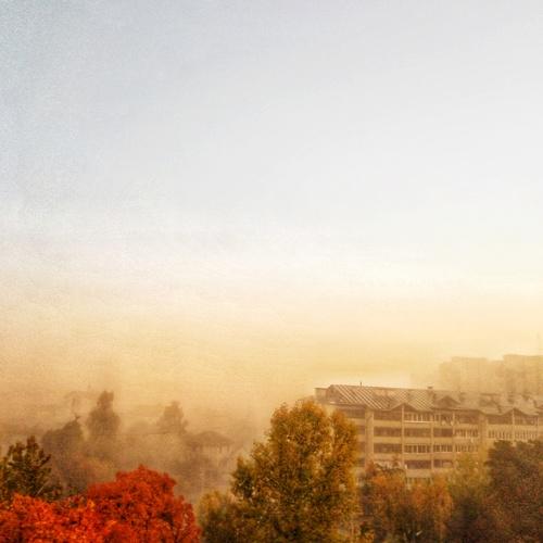 Photo #2760396