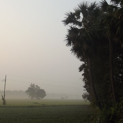first day Landscape