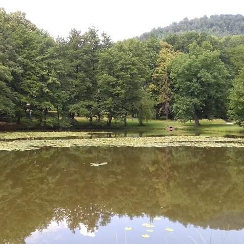 Photo #2763328