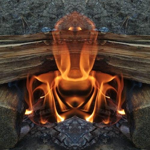 Photo #2765555