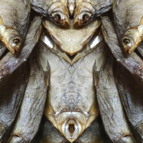 Photo #2765565