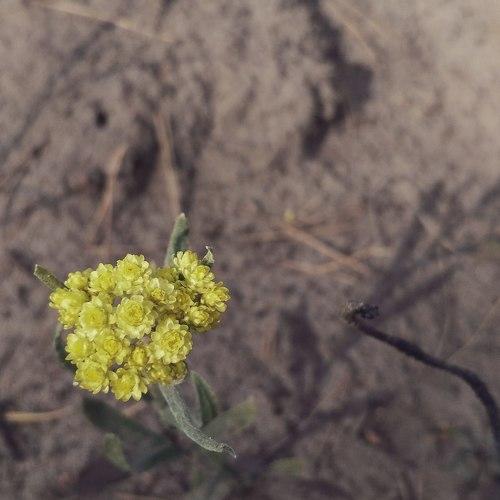 Photo #2765590