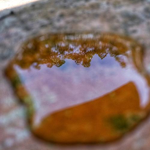 Reflection