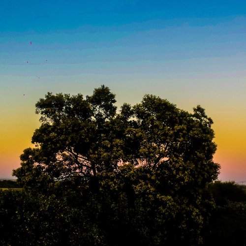 Sun set