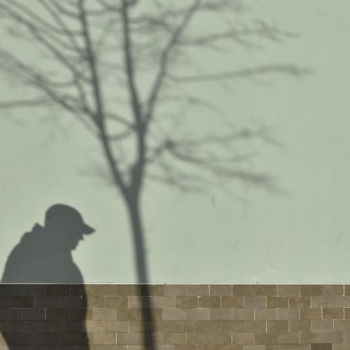shadows don't fade at noon