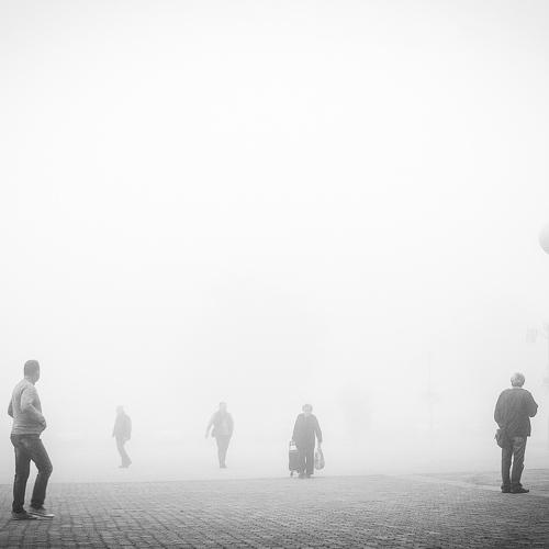 lost in the fog