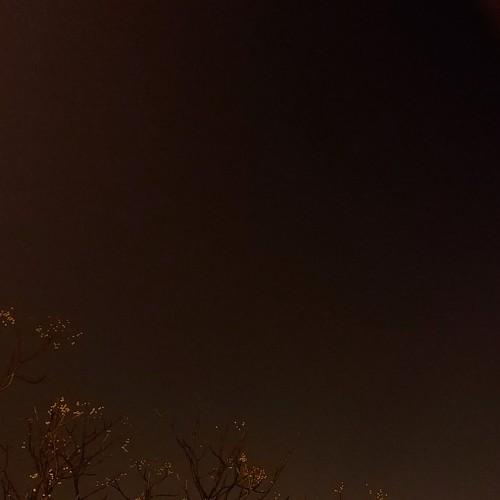 A foggy night