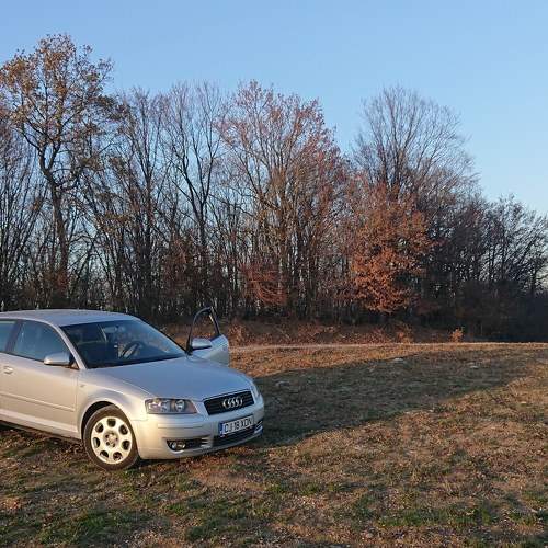 Audi in nature
