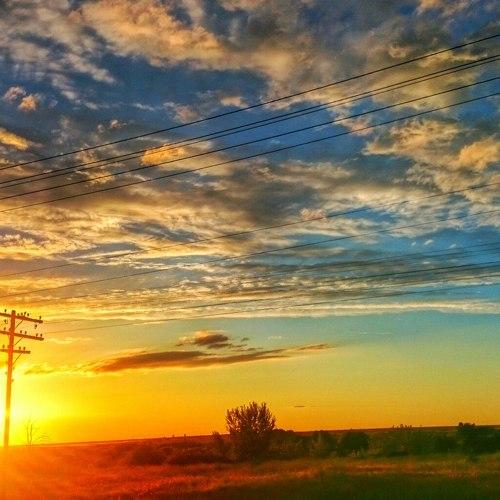 Photo #2771923