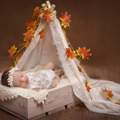 Photo #2772452