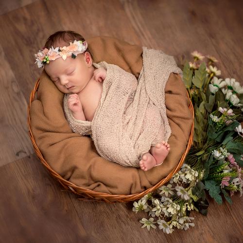 Photo #2772455
