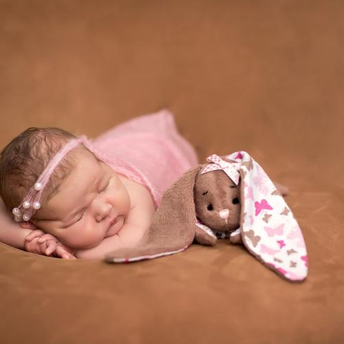Photo #2772464