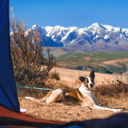 Актру и Карат