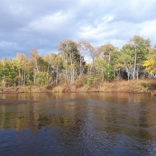 Красота природы
