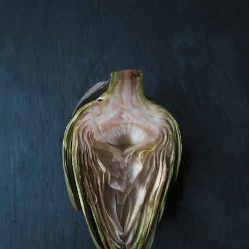 Artichoke / Alcachofa