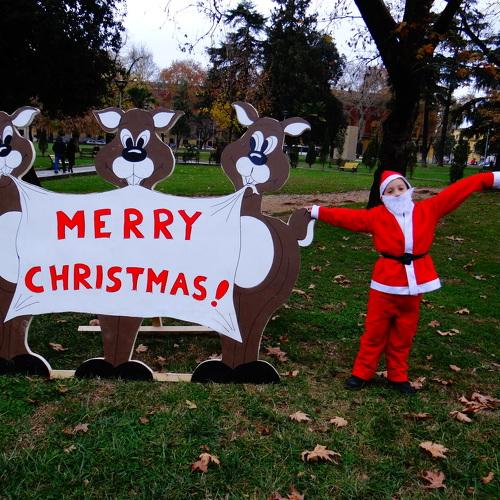 Photo #2777280