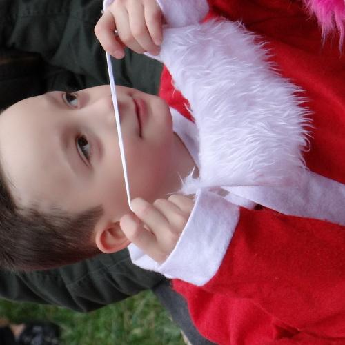 Photo #2777292