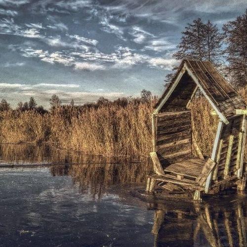 Про що говорять став із очеретом?