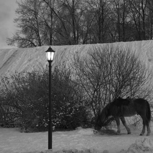 Winter_Зима