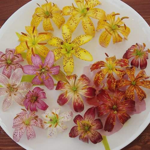 Photo #2778888