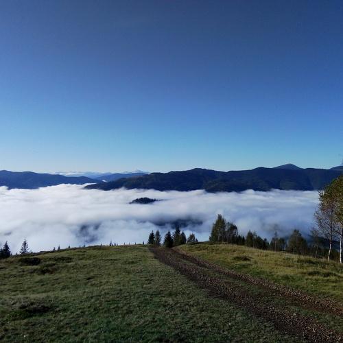 Karpaty