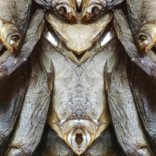 FoodFace