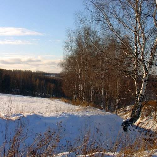 зимнее утро