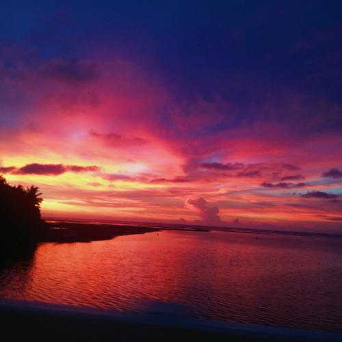 Pink Skies