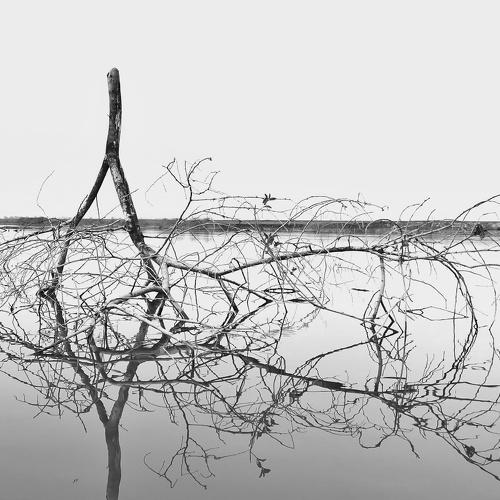 Reflection