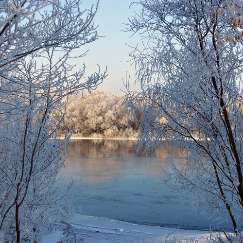 морозный день