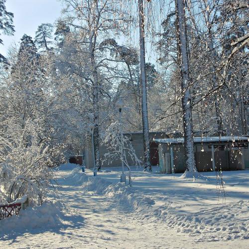 зимний пейзаж