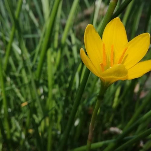 Yellow is the warmest color...