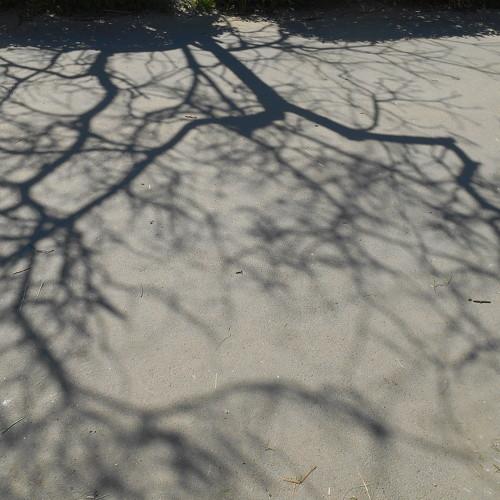 Photo #2781133