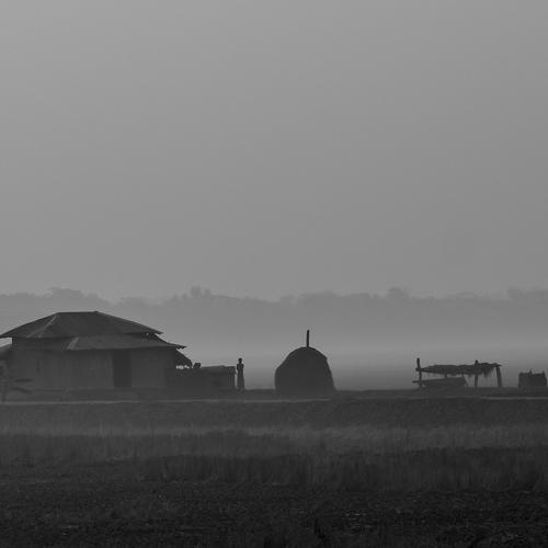 Winter morning