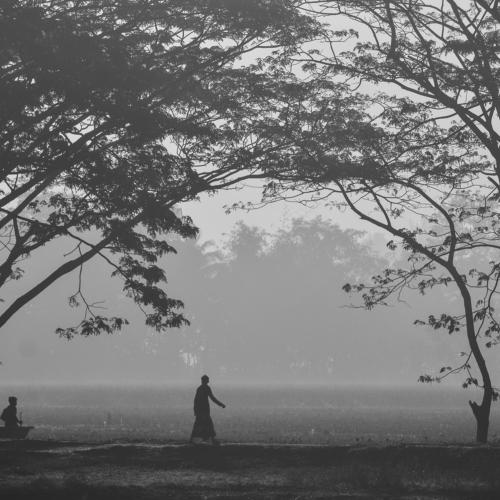 Winter morning