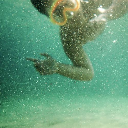 Swimming with the fish.