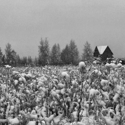 Photo #2783640