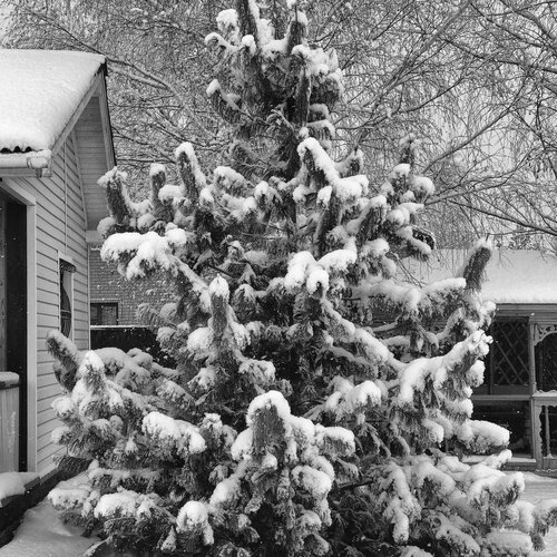Photo #2783643