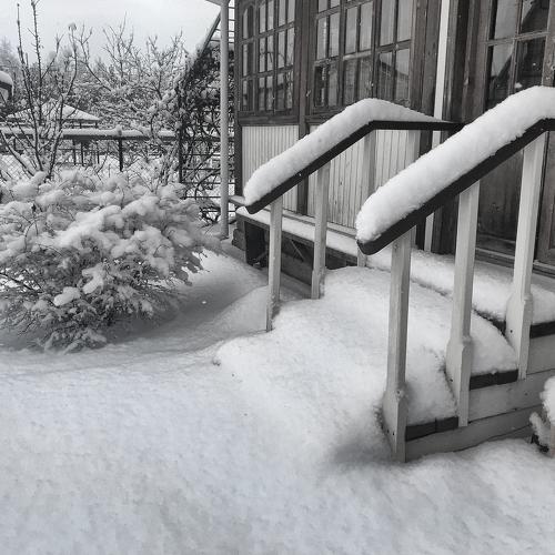 Photo #2783644
