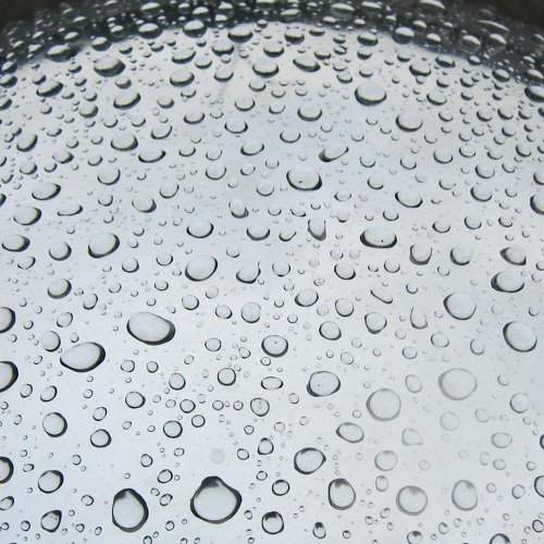 rain