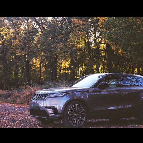 Luxury in forest