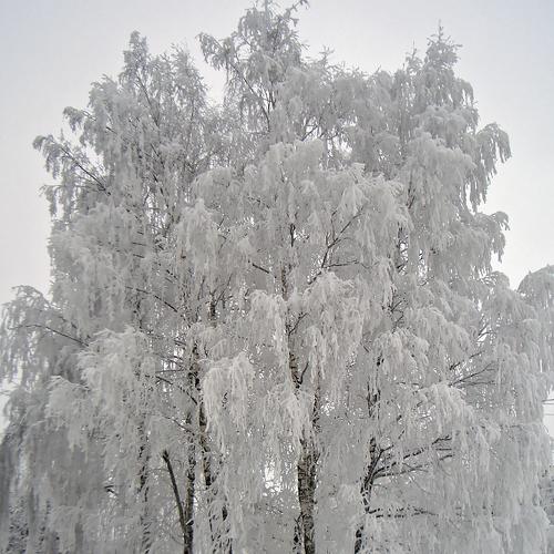 Зима