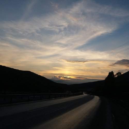 Photo #2787375