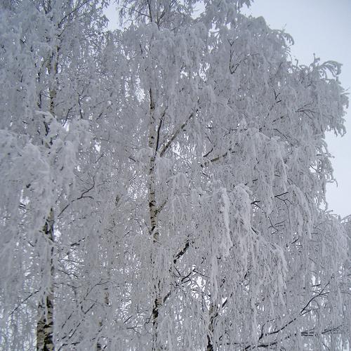 Зима