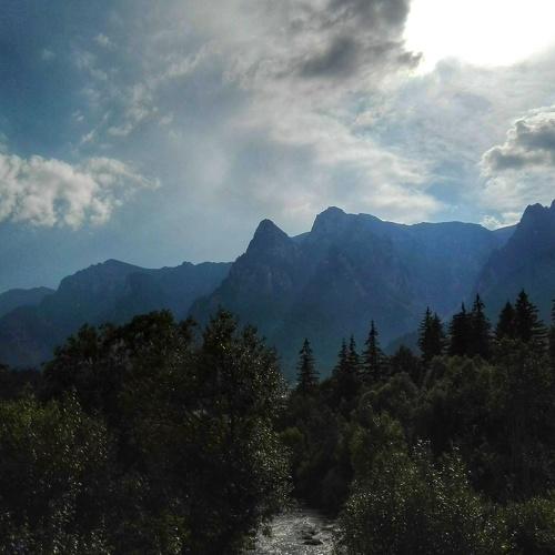 Buşteni