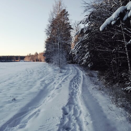 Волшебный зимний сон