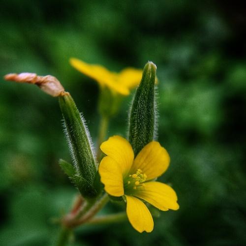 Photo #2788928